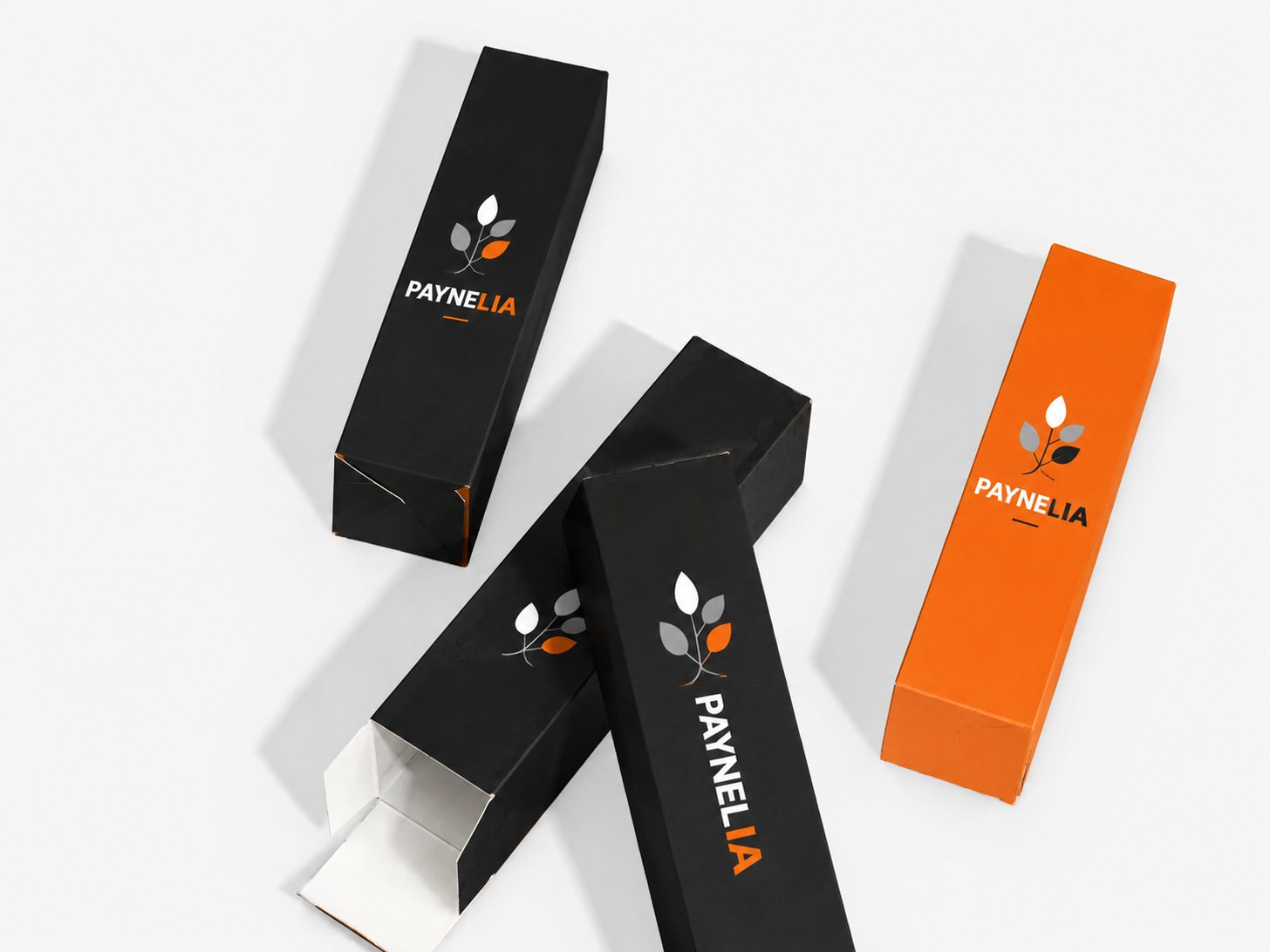 Boîtes cadeau pour bouteille imprimées en noir et orange — Paynelia