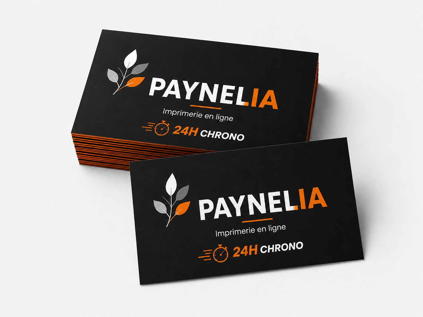 Cartes de visite imprimées en express — Paynelia