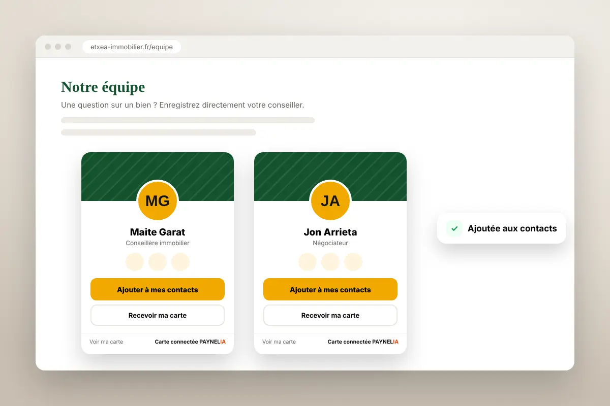 Création de site internet — Paynelia