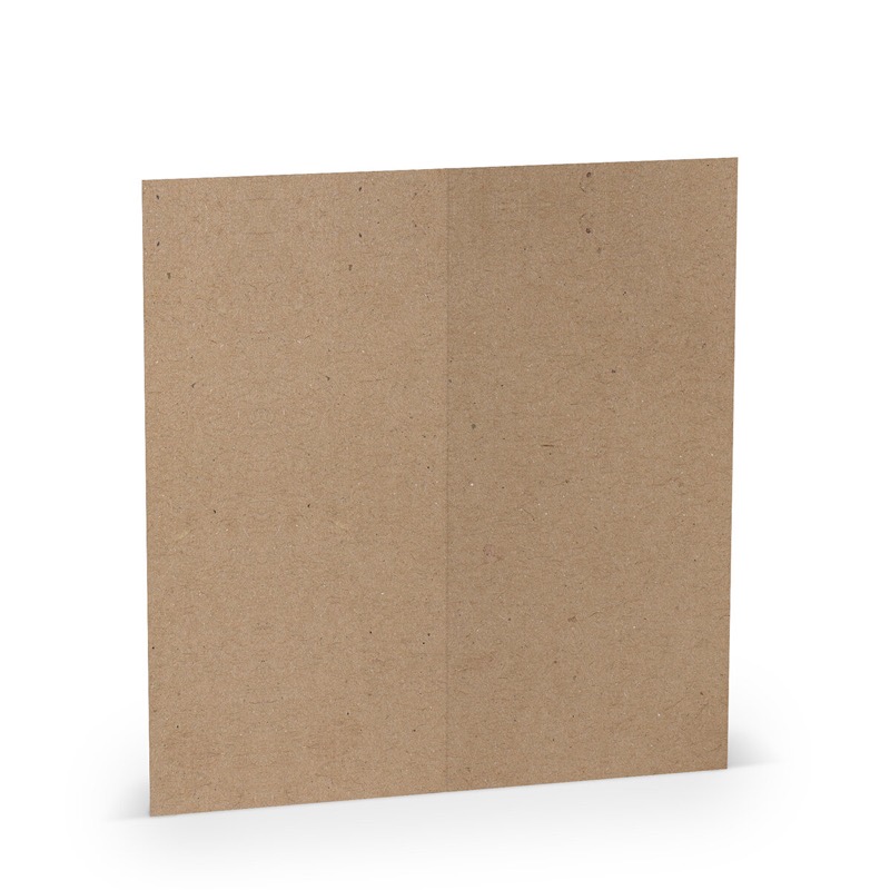 cartes pliantes (portrait) colorées marron (kraft) 100 x 210 mm (dl) | 250 g/qm paperado | sans fenêtre | pas de fermeture | pas de rabat | 50 pièces