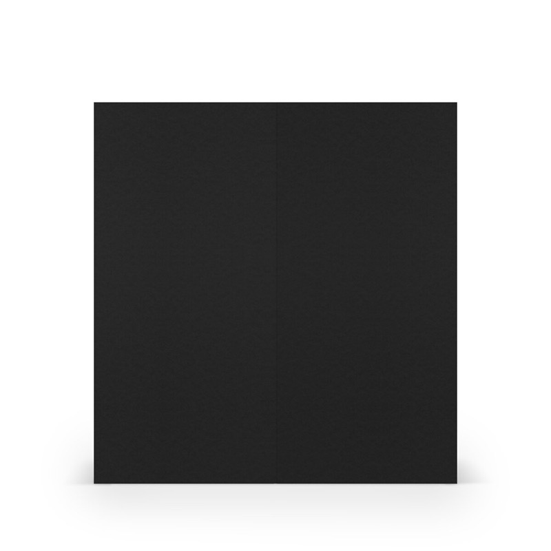 cartes pliantes (portrait) Noir 100 x 210 mm
