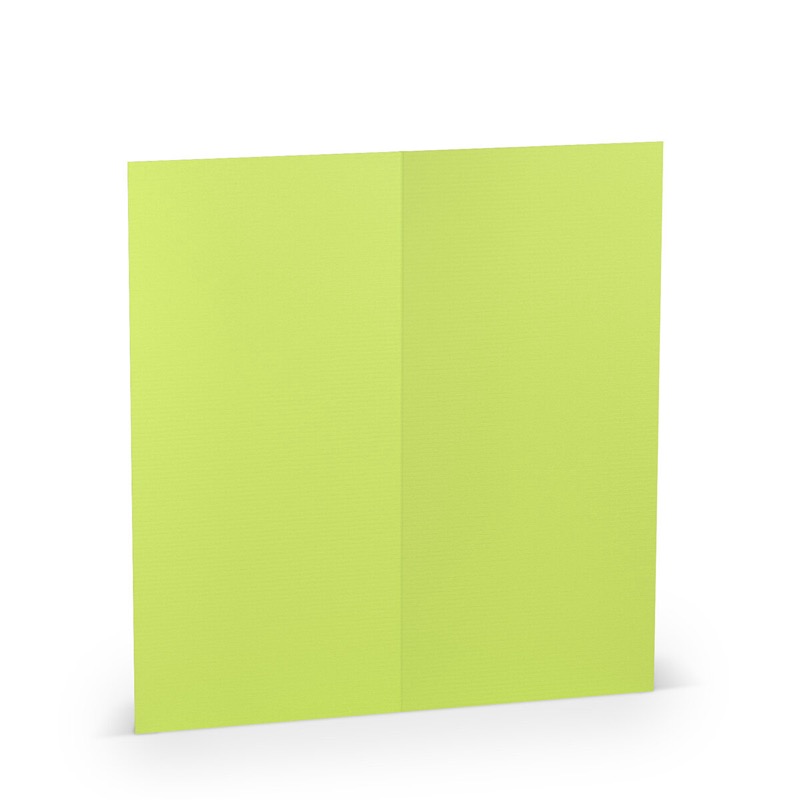 cartes pliantes (portrait) colorées vert (vert de mai) 100 x 210 mm (dl) | 220 g/qm côtelé (paperado) | sans fenêtre | pas de fermeture | pas de rabat | 50 pièces