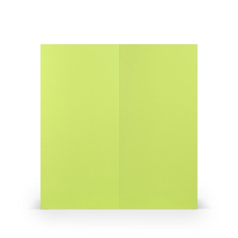 cartes pliantes (portrait) Vert (Vert de mai) 100 x 210 mm