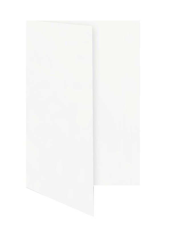 cartes pliantes blanc (blanc de neige) 105 x 210 mm (dl) | 250 g/qm offset | sans fenêtre | pas de fermeture | pas de rabat | 50 pièces