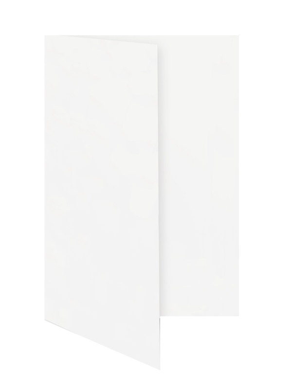 cartes pliantes blanc (blanc naturel) 105 x 210 mm (dl) | 250 g/qm offset | sans fenêtre | pas de fermeture | pas de rabat | 50 pièces