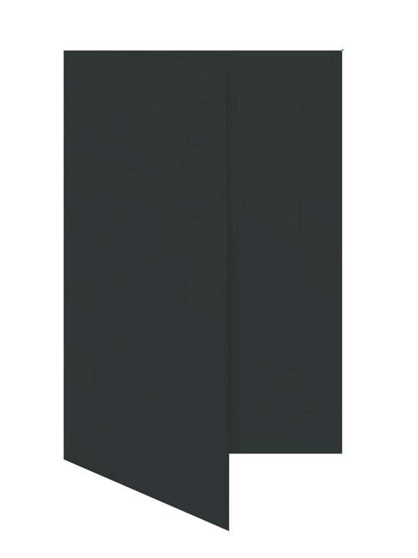 cartes pliantes colorées noir 105 x 210 mm (dl) | 230 g/qm offset | sans fenêtre | pas de fermeture | pas de rabat | 50 pièces