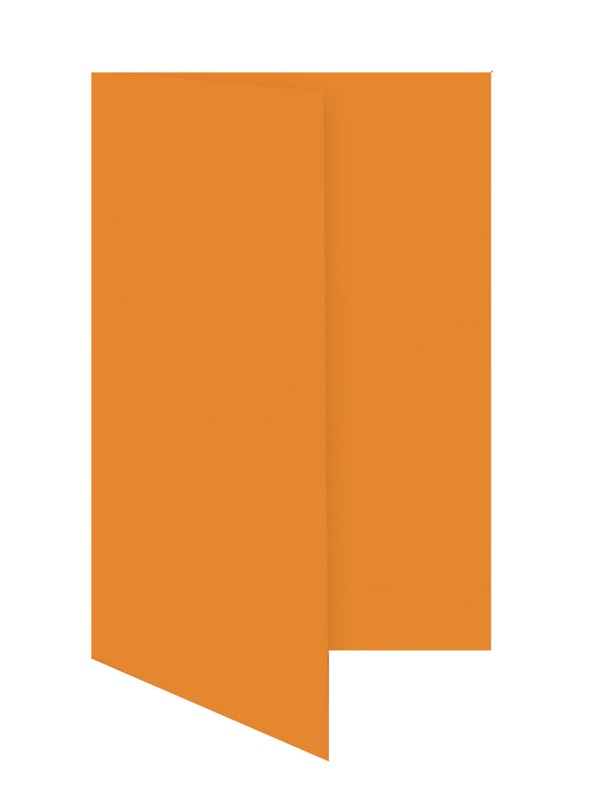 cartes pliantes colorées orange (orange clair) 105 x 210 mm (dl) | 230 g/qm offset | sans fenêtre | pas de fermeture | pas de rabat | 50 pièces