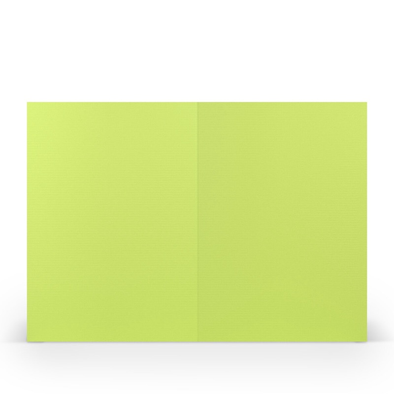 cartes pliantes (portrait) Vert (Vert de mai) 120 x 169 mm