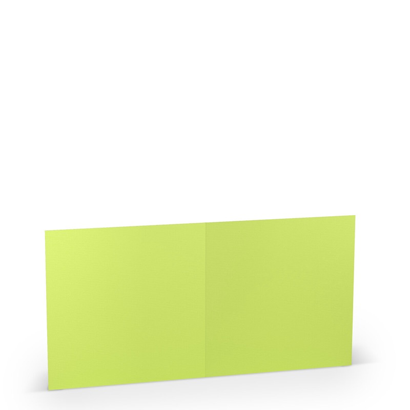 cartes pliantes (carré) colorées vert (vert de mai) 157 x 157 mm | 220 g/qm côtelé (paperado) | sans fenêtre | pas de fermeture | pas de rabat | 50 pièces