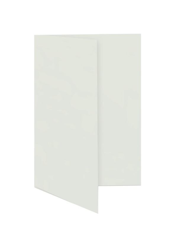 Cartes 55 x 95 mm