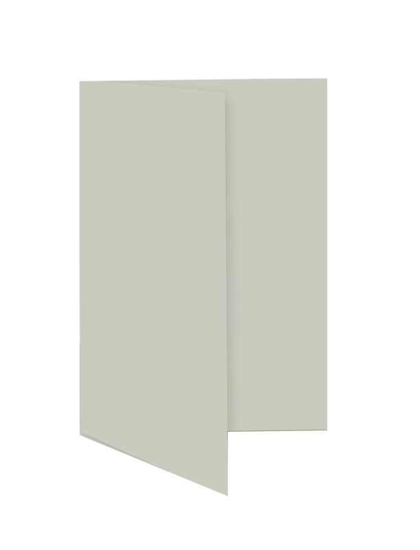 cartes pliantes colorées gris (gris dauphin) 55 x 95 mm | 230 g/qm offset | sans fenêtre | pas de fermeture | pas de rabat | 50 pièces