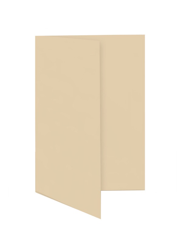 cartes pliantes colorées orange (corail) 55 x 95 mm | 230 g/qm offset | sans fenêtre | pas de fermeture | pas de rabat | 50 pièces