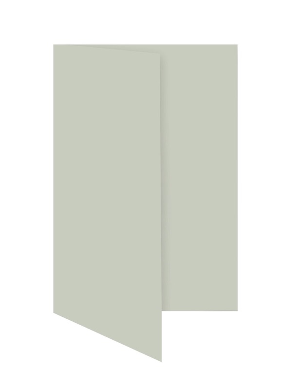 cartes pliantes colorées gris (gris dauphin) 80 x 130 mm | 230 g/qm offset | sans fenêtre | pas de fermeture | pas de rabat | 50 pièces