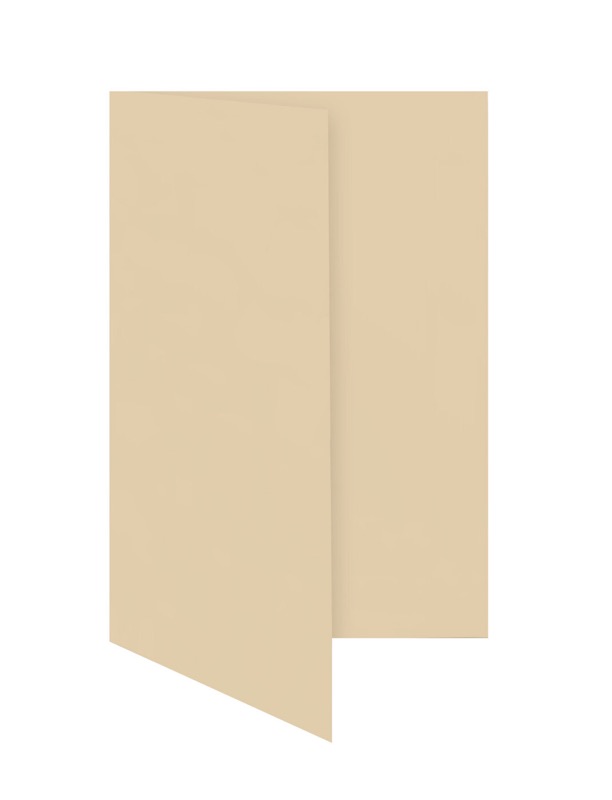 Cartes 80 x 130 mm