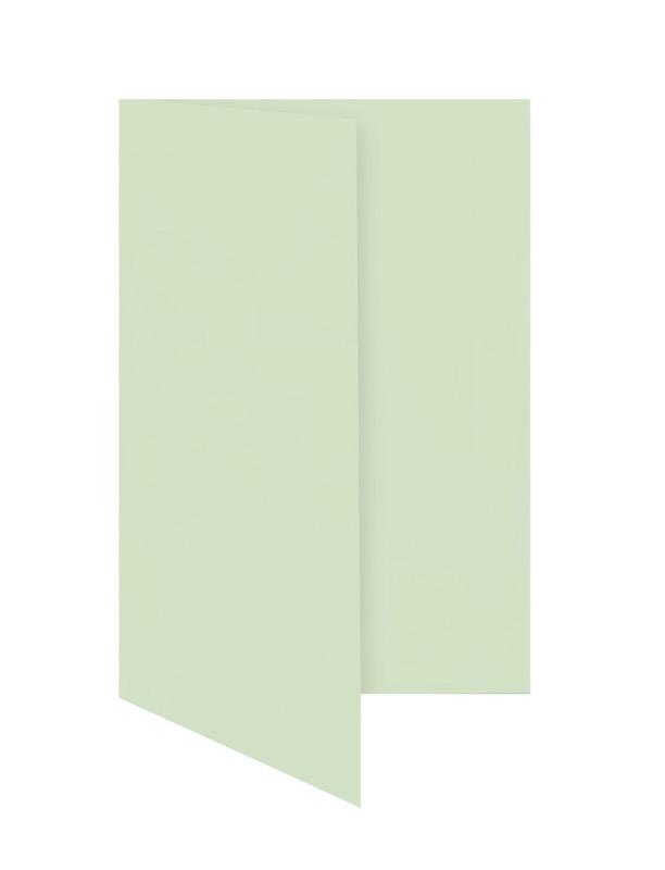 cartes pliantes colorées vert (menthe) 80 x 130 mm | 230 g/qm offset | sans fenêtre | pas de fermeture | pas de rabat | 50 pièces