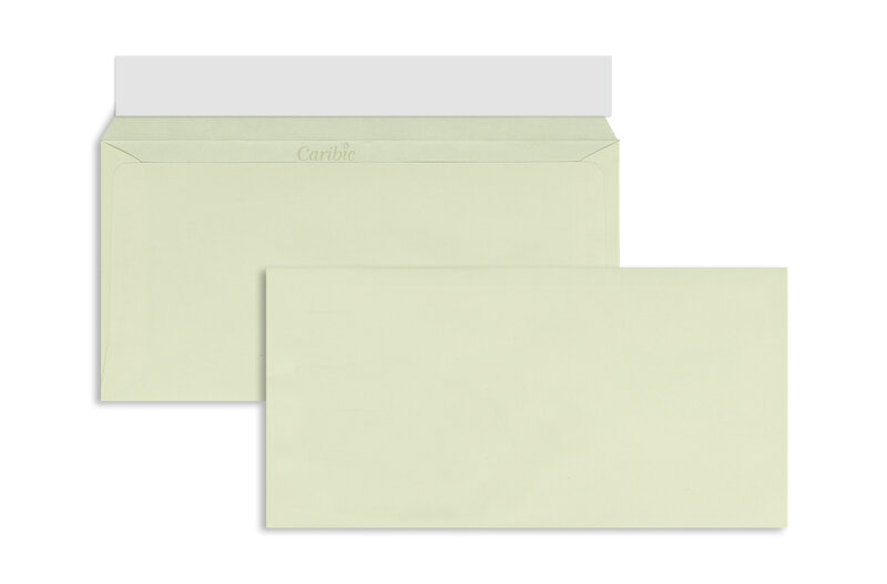 enveloppes blanc (blanc perlé) 110 x 220 mm (dl) | 90 g/m² caribic | sans fenêtre | fermeture adhésive | rabat droit | 250 pièces