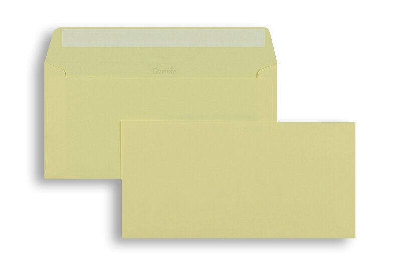 enveloppes colorées crème (chamois) 110 x 220 mm (dl) | 90 g/m² caribic | sans fenêtre | fermeture adhésive | rabat droit | 250 pièces
