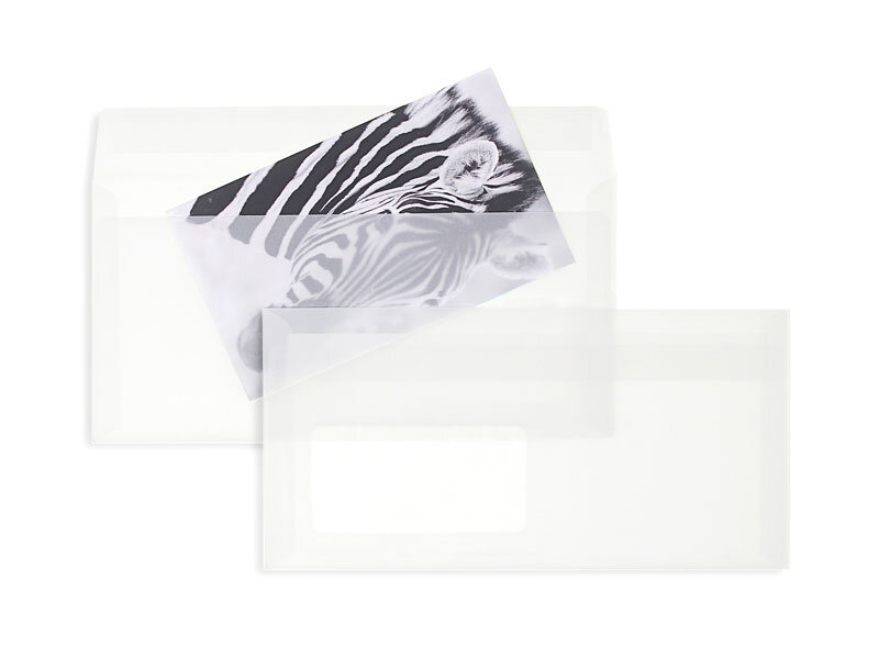 Enveloppes transparentes Blanc (Transparent blanc) 110 x 220 mm