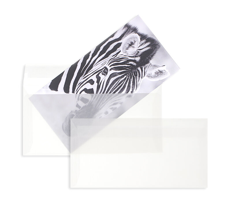 enveloppes transparentes blanc (transparent blanc) 110 x 220 mm (dl) | 90 g/m² offset | sans fenêtre | fermeture adhésive | rabat droit | 100 pièces