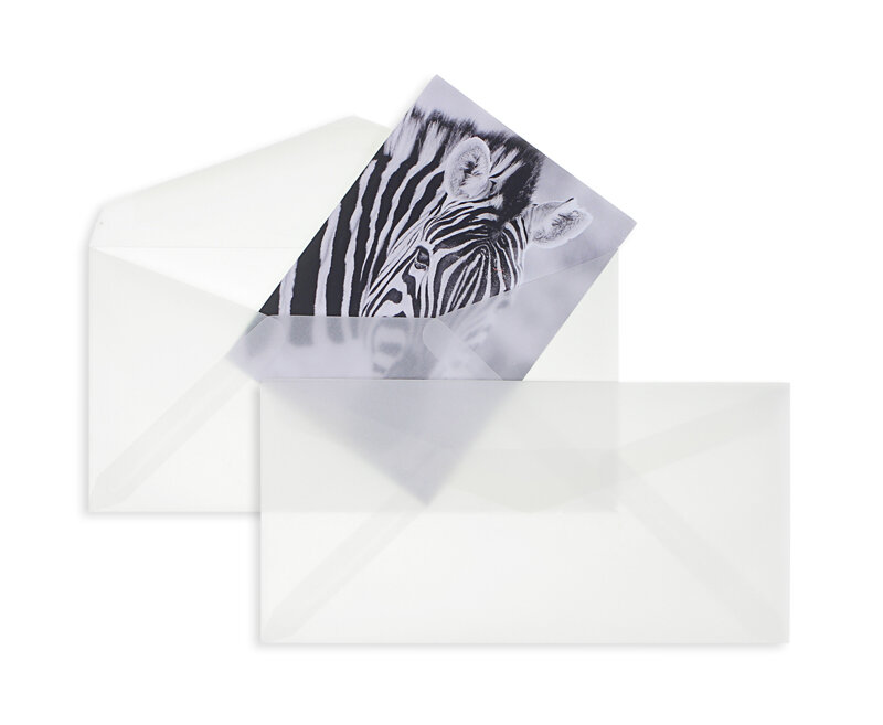 enveloppes transparentes blanc (transparent blanc) 110 x 220 mm (dl) | 90 g/m² offset | sans fenêtre | fermeture gommée | rabat pointu | 100 pièces