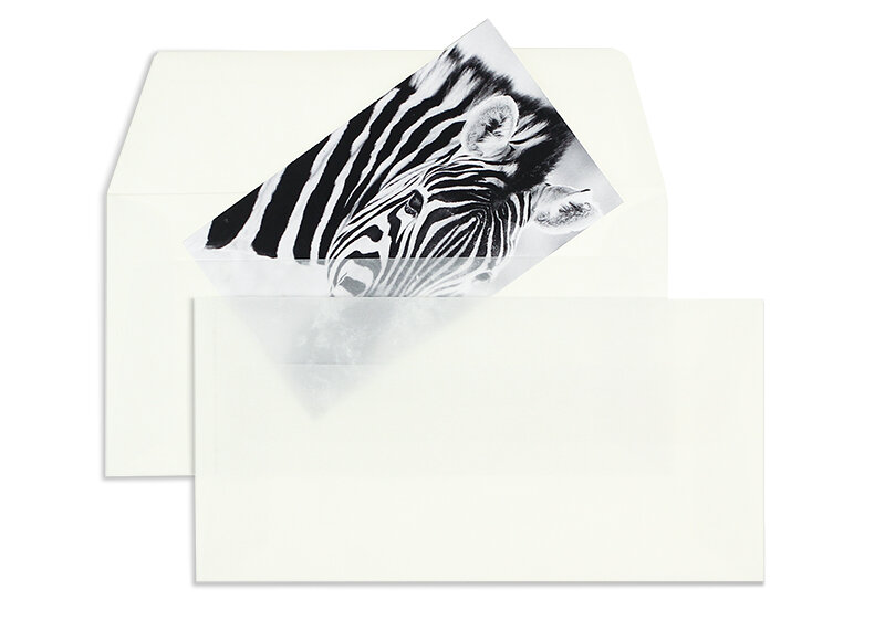 enveloppes transparentes blanc (transparent-marbré) 110 x 220 mm (dl) | 100 g/qm offset (paperado) | sans fenêtre | fermeture gommée | rabat droit | 100 pièces