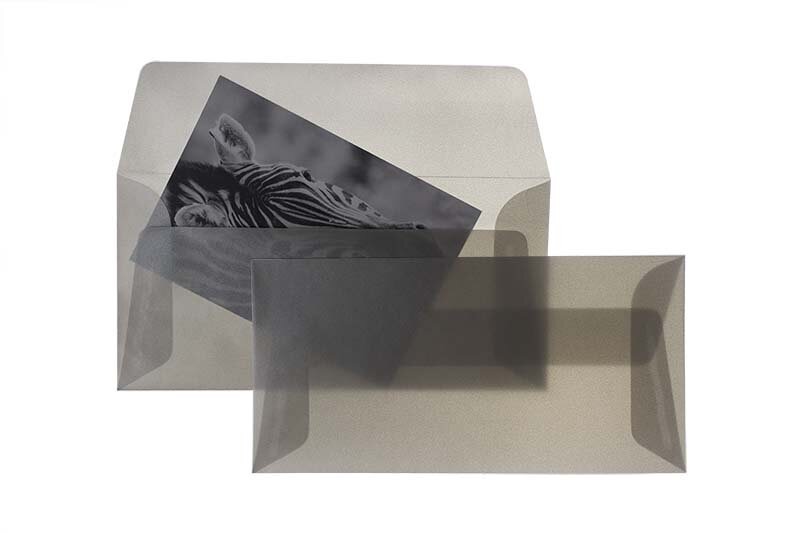 Enveloppes transparentes Argent (Transparent argent) 110 x 220 mm