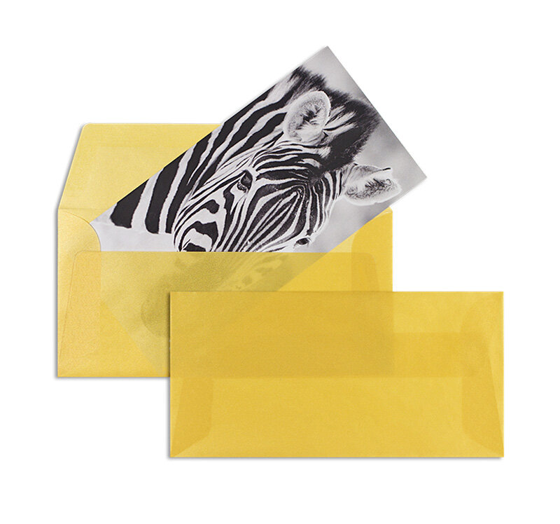 enveloppes transparentes colorées doré (transparent doré) 110 x 220 mm (dl) | 100 g/m² offset (paperado) | sans fenêtre | fermeture gommée | rabat droit | 100 pièces