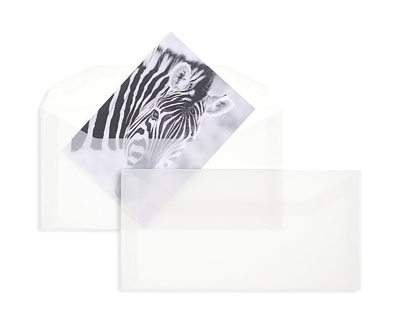 enveloppes transparentes pour mise sous pli blanc (transparent blanc) 110 x 220 mm (dl) | 100 g/m² offset | sans fenêtre | fermeture gommée | rabat trapézoïdal | 100 pièces