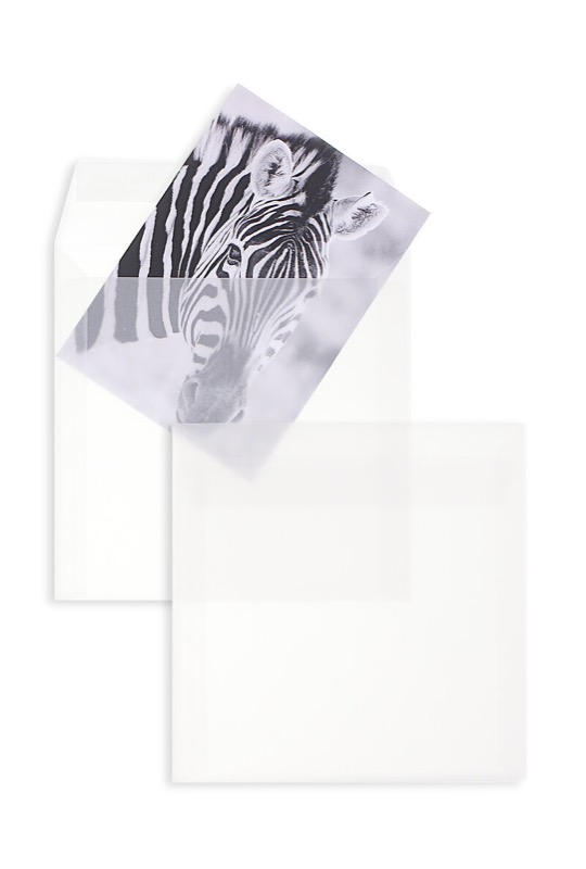 enveloppes transparentes blanc (transparent blanc) 130 x 130 mm | 100 g/m² offset | sans fenêtre | fermeture adhésive | rabat droit | 100 pièces