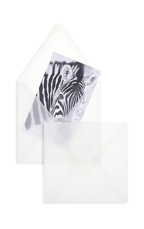 enveloppes transparentes blanc (transparent blanc) 155 x 155 mm | 90 g/qm offset | sans fenêtre | fermeture gommée | rabat pointu | 100 pièces