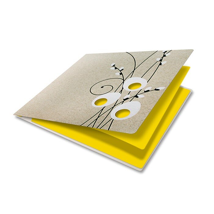 colorées crème () 160 x 160 mm | 220 g/qm kraft | sans fenêtre | pas de fermeture | pas de rabat | 10 pièces