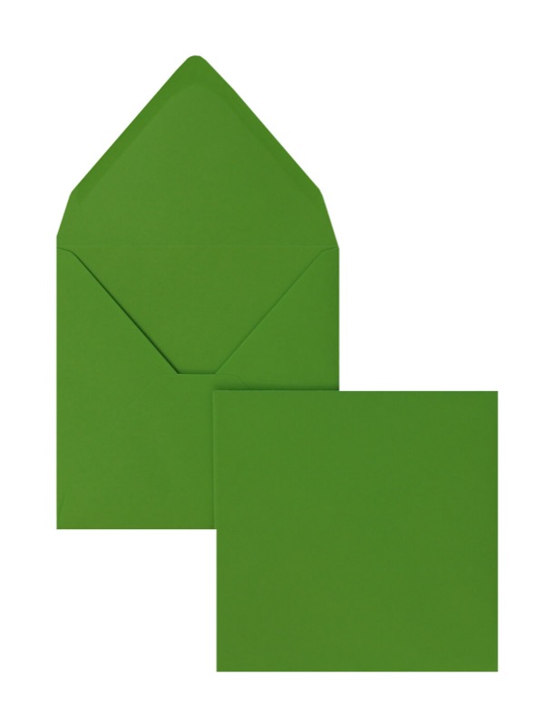 enveloppes colorées vert (vert clair) 165 x 165 mm | 120 g/m² velin | sans fenêtre | fermeture gommée | rabat pointu | 100 pièces