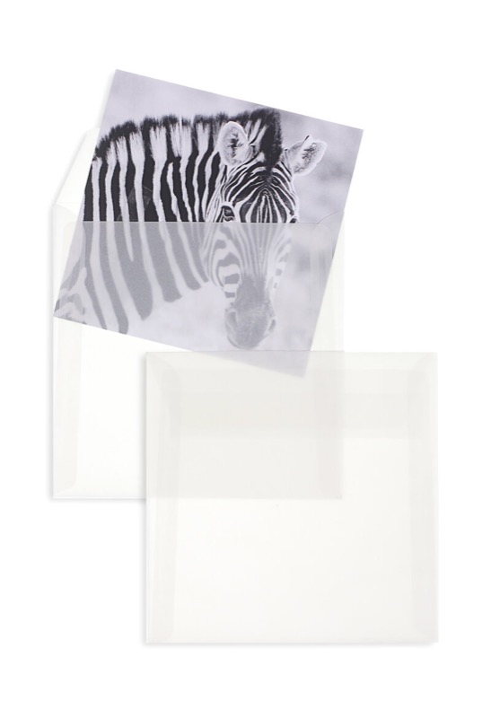 enveloppes transparentes blanc (transparent blanc) 170 x 170 mm | 100 g/m² offset | sans fenêtre | fermeture adhésive | rabat droit | 100 pièces