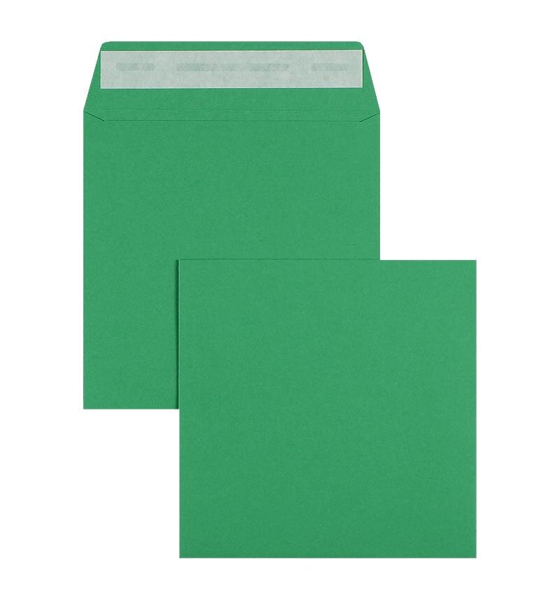 enveloppes colorées vert (trèfle) 220 x 220 mm | 120 g/m² offset | sans fenêtre | fermeture adhésive | rabat droit | 100 pièces