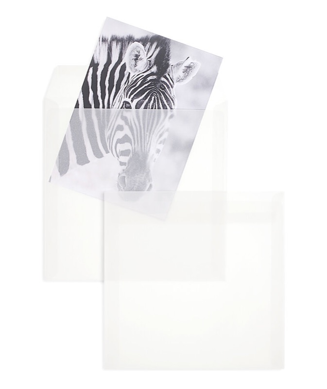 enveloppes transparentes blanc (transparent blanc) 220 x 220 mm | 110 g/qm offset | sans fenêtre | fermeture adhésive | rabat droit | 100 pièces