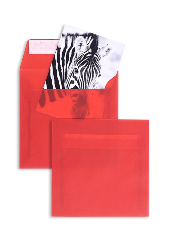 enveloppes transparentes colorées rouge (transparent rouge intense) 220 x 220 mm | 100 g/m² offset | sans fenêtre | fermeture adhésive | rabat droit | 100 pièces