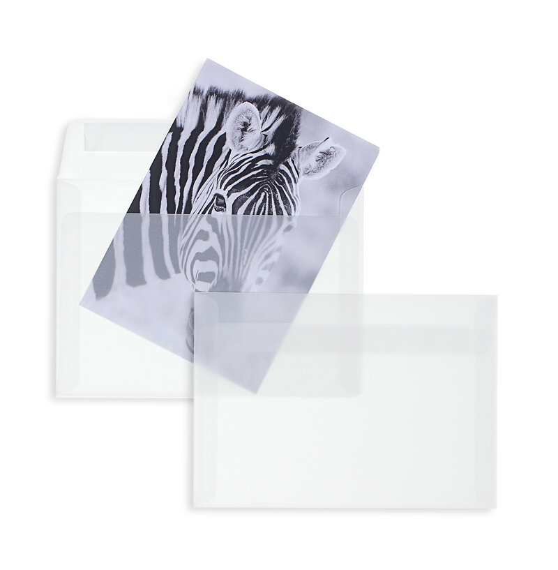 enveloppes transparentes blanches (transparent blanc) 229 x 324 mm (c4) | 100 g/m² offset | sans fenêtre | fermeture adhésive | rabat droit | 100 pièces