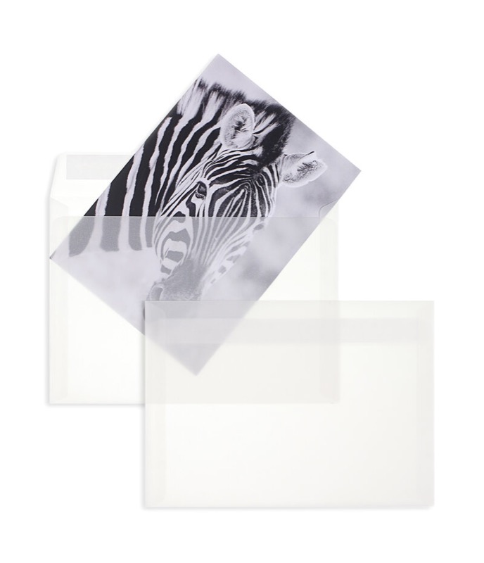 enveloppes transparentes blanc (transparent blanc) 162 x 229 mm (c5) | 100 g/m² offset | sans fenêtre | fermeture adhésive | rabat droit | 100 pièces