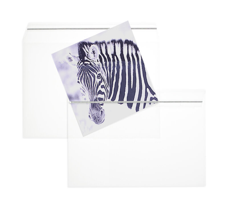 enveloppes transparentes de feuille plastique cristallin 162 x 229 mm (c5) | 100 my polypropylène | sans fenêtre | fermeture adhésive | rabat droit | 100 pièces