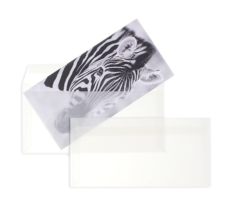 enveloppes transparentes blanc (transparent blanc) 114 x 229 mm (c6/5) | 90 g/m² offset | sans fenêtre | fermeture adhésive | rabat droit | 100 pièces