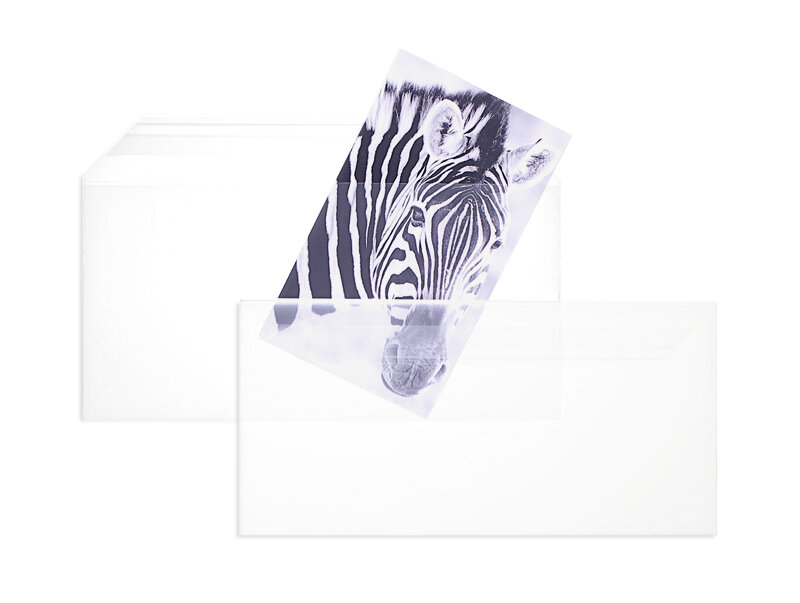 enveloppes transparentes de feuille plastique cristallin 114 x 229 mm (c6/5) | 100 my polypropylène | sans fenêtre | fermeture adhésive | rabat droit | 100 pièces