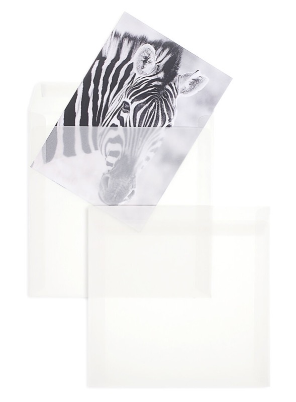 enveloppes transparentes blanc (transparent blanc) 215 x 215 mm | 112 g/m² offset | sans fenêtre | fermeture adhésive | rabat droit | 100 pièces