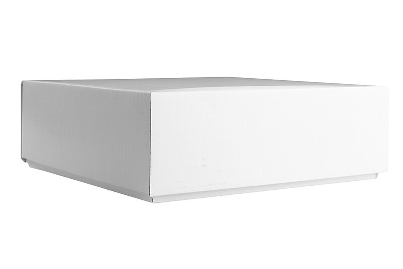 boîtes pliantes télestopiques Blanc 160 x 155 x 50 mm