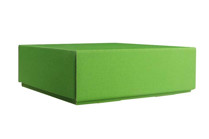 boîtes pliantes télestopiques Vert 160 x 155 x 50 mm