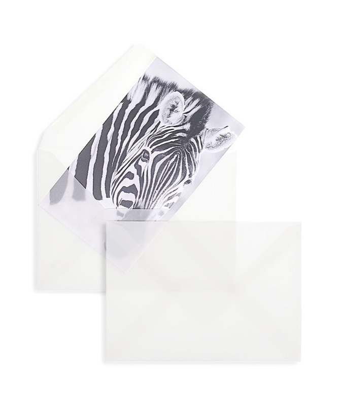 enveloppes transparentes blanc (transparent blanc) 110 x 155 mm | 90 g/m² offset | sans fenêtre | fermeture gommée | rabat pointu | 100 pièces