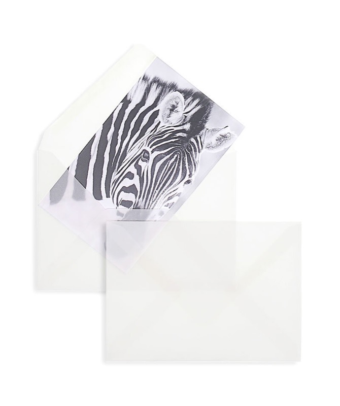 enveloppes transparentes blanc (transparent blanc) 110 x 185 mm | 90 g/m² offset | sans fenêtre | fermeture gommée | rabat pointu | 100 pièces