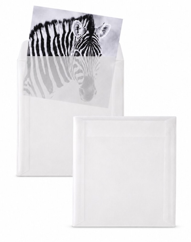 Enveloppes transparentes Blanc (Transparent blanc) 125 x 125 mm