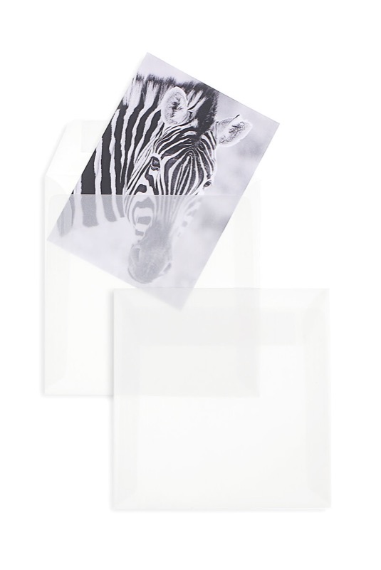 enveloppes transparentes blanc (transparent blanc) 150 x 150 mm | 90 g/m² offset | sans fenêtre | fermeture adhésive | rabat droit | 100 pièces
