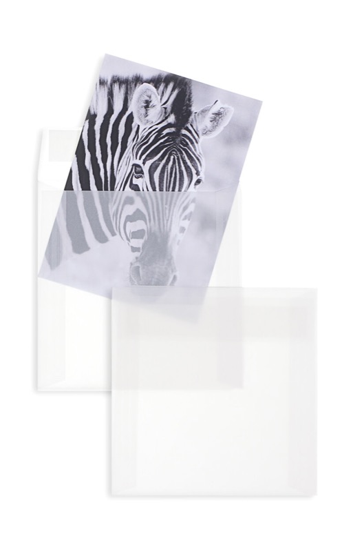 enveloppes transparentes blanc (transparent blanc) 110 x 110 mm | 90 g/m² offset | sans fenêtre | fermeture adhésive | rabat droit | 100 pièces