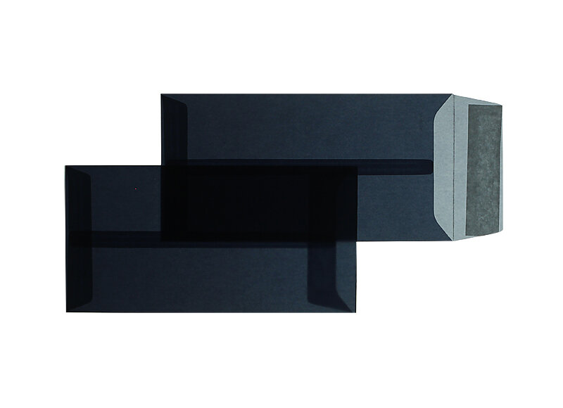 Pochettes transparentes Gris (Transparent anthracite) 110 x 220 mm
